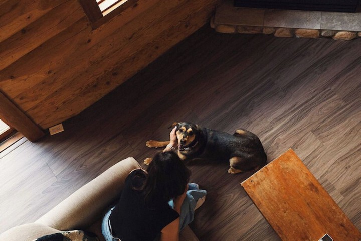 Pet Friendly 87 of 128