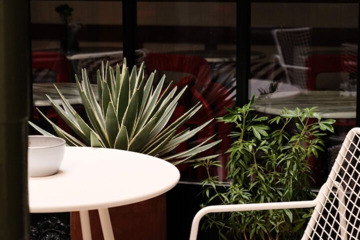 Terrace/Patio 31 of 36
