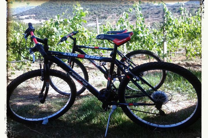 Bicycling