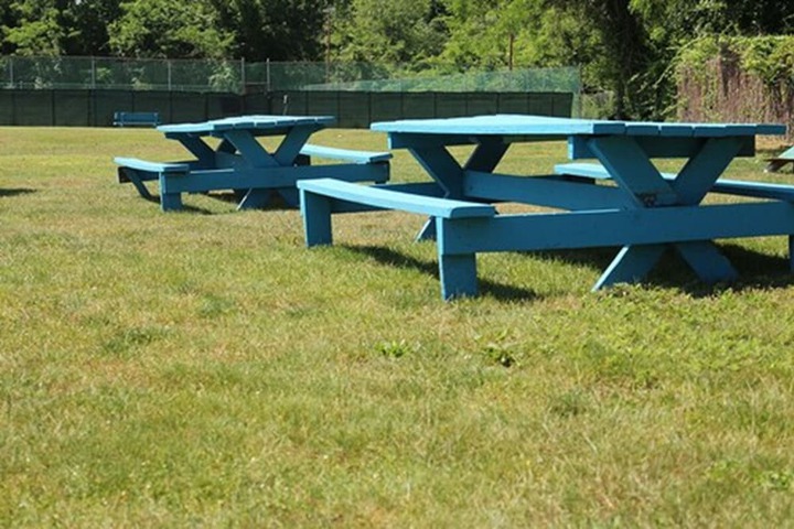 BBQ/picnic area
