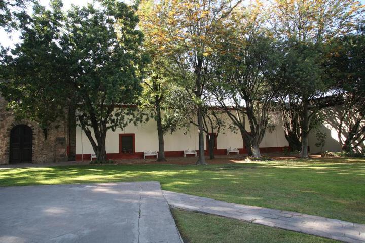 Photo 8