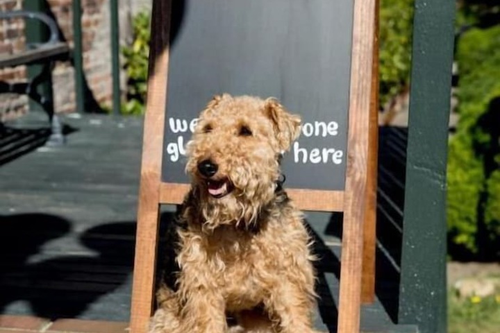 Property Grounds 20 of 28