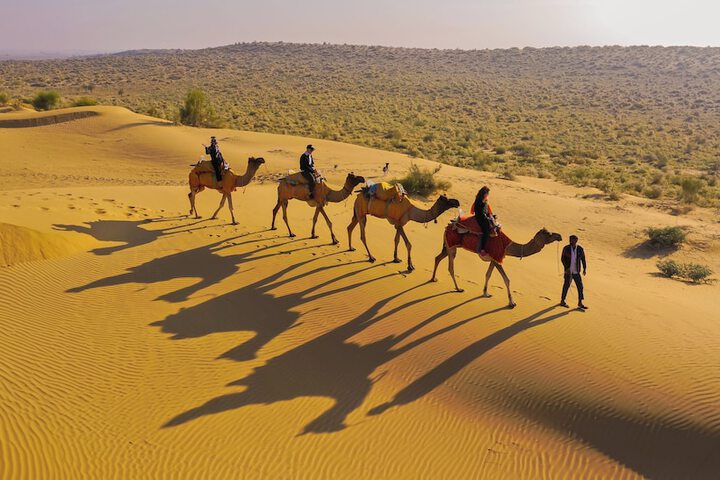 Safari