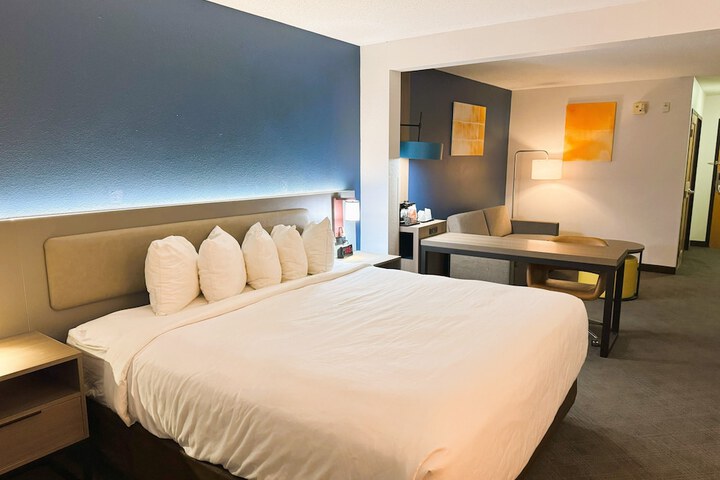1 King Bed (1 of 13)