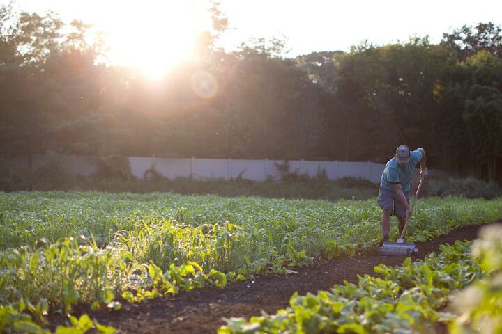 Hotel Exterior 53 of 66