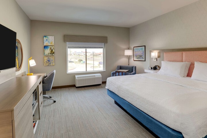 1 King Hearing Accessible Studio with Sofa Bed (20 of 41)