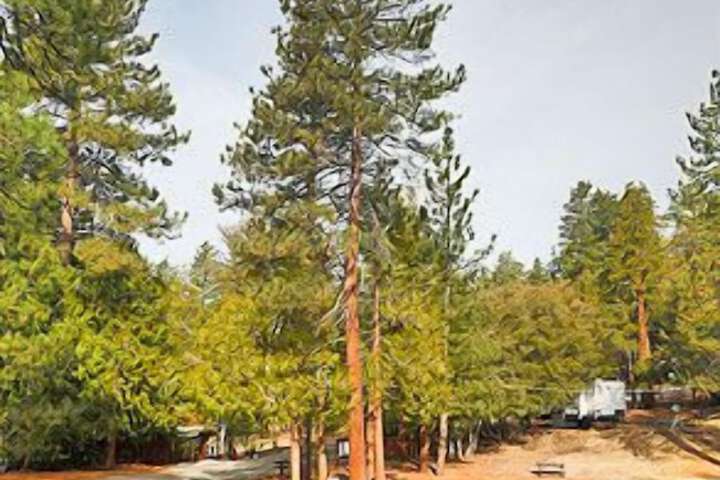 Property Grounds 23 of 25