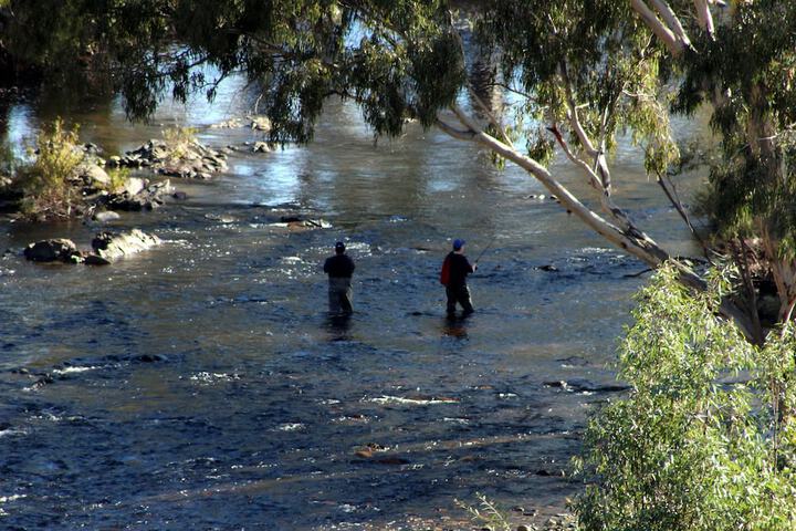 Fishing