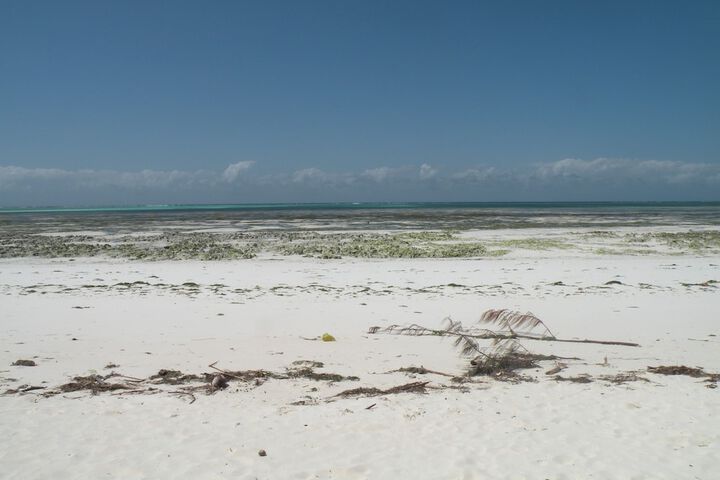 Beach 129 of 161