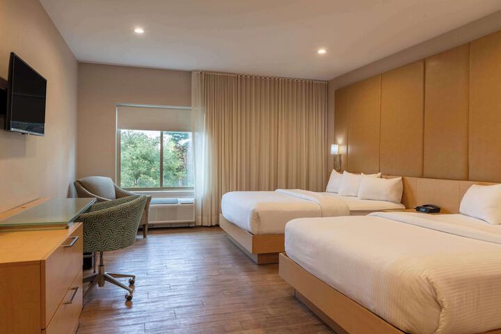 2 Queen Beds (12 of 22)