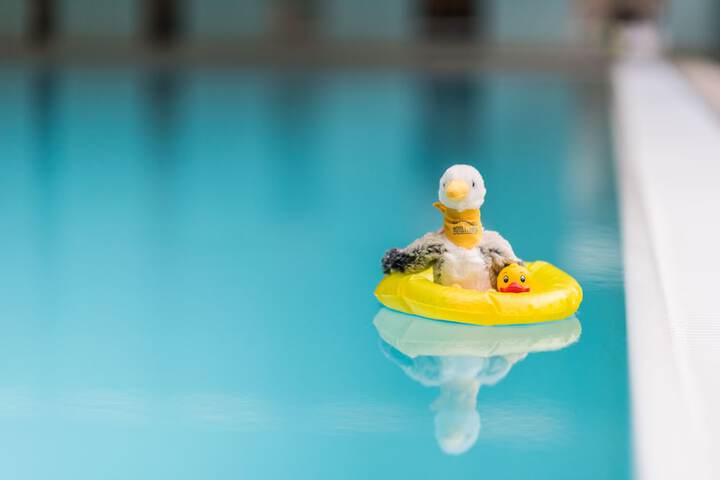 Pool to Cool
