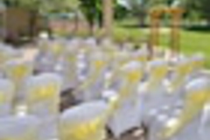 Outdoor wedding area