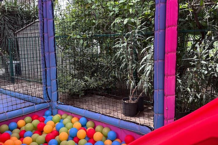 Childrens Activities 48 of 113
