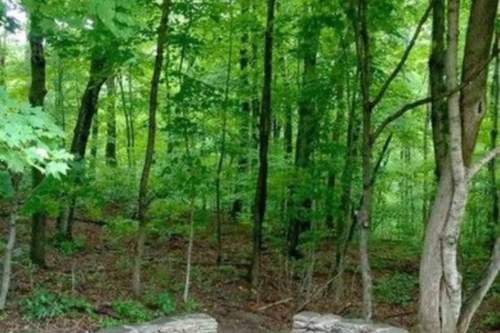Property Grounds 30 of 72