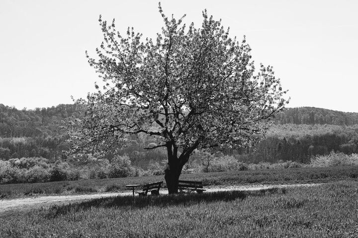 Outdoor Activities 21 of 39