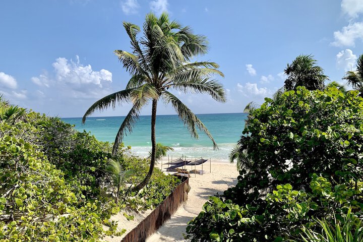 Beach 68 of 83