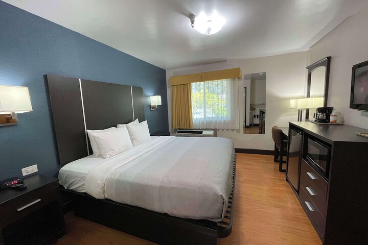 1 King Bed (1 of 14)