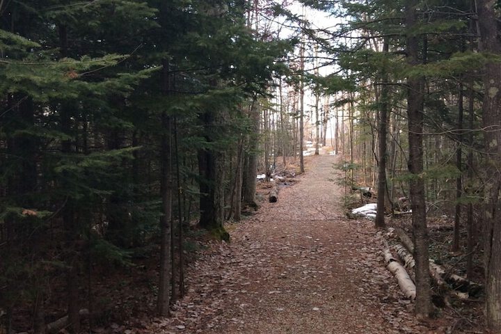 Property Grounds 36 of 39