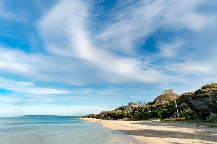Beach 55 of 65