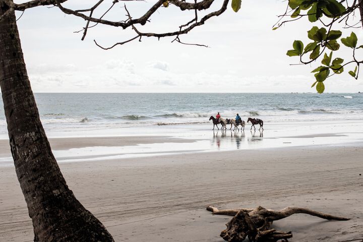 Beach 46 of 57