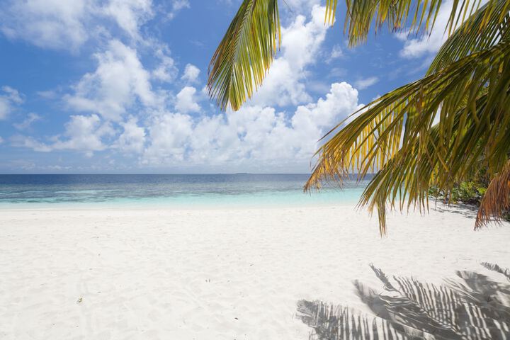 Beach 58 of 69