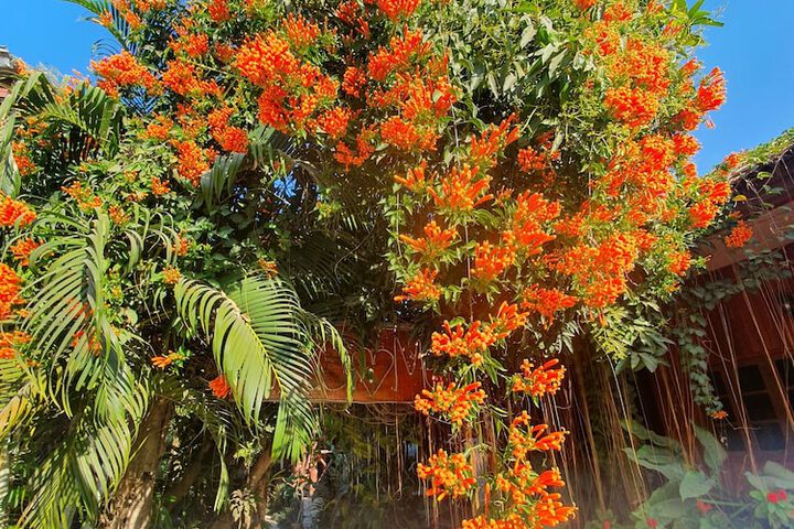 Vang Vieng Garden Bungalow