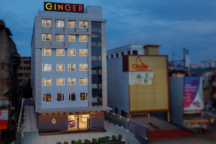 Ginger Patna