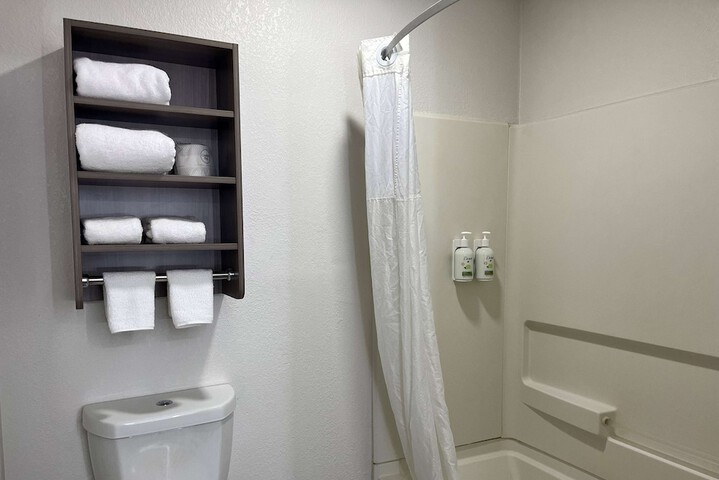 1 King Bed Studio Suite (9 of 20)