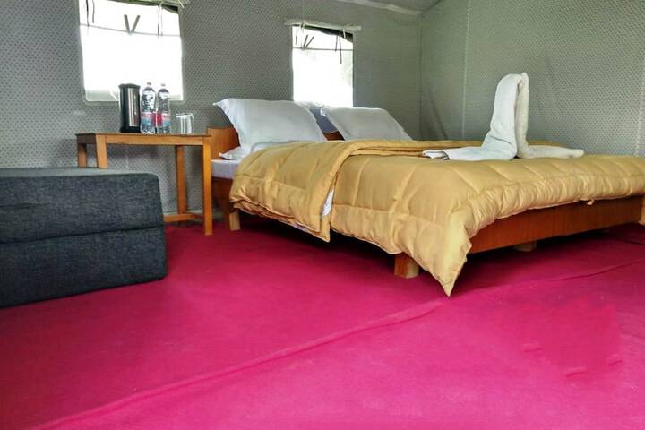 Room 41 of 45