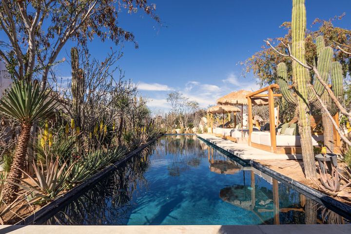 El Perdido Desert Dream - Todos Santos Adults Only in El Pescadero