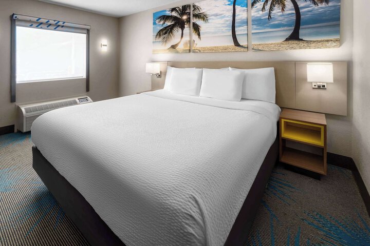 1 King Bed Mobility Accessible (8 of 11)
