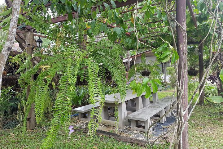 Property Grounds 59 of 74