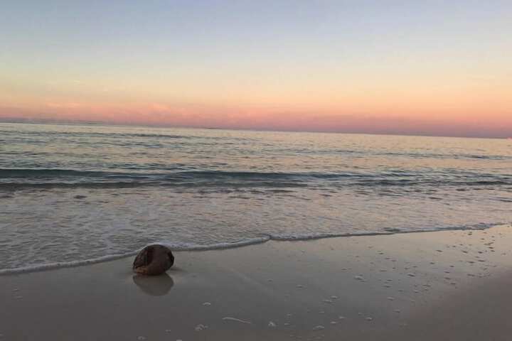 Beach 43 of 52