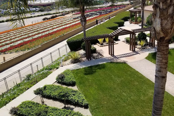 Outdoor wedding area