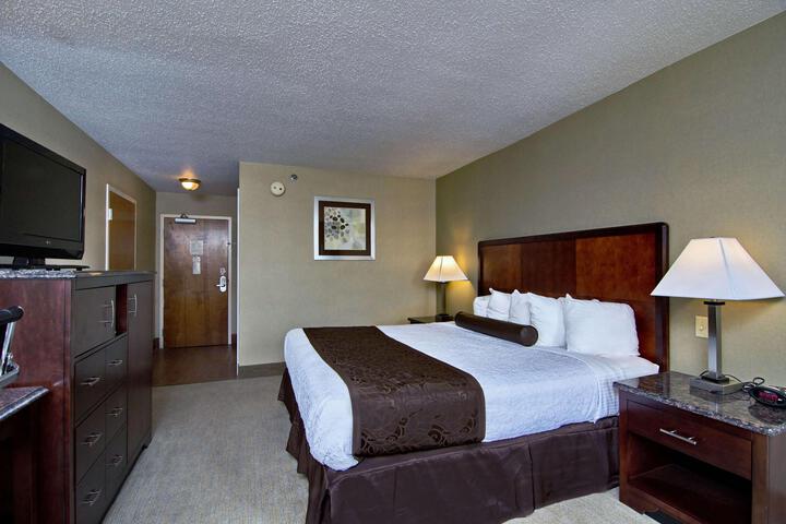 1 King Bed (8 of 20)