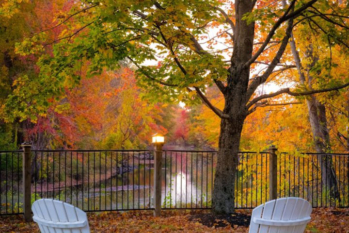 Property Grounds 38 of 49