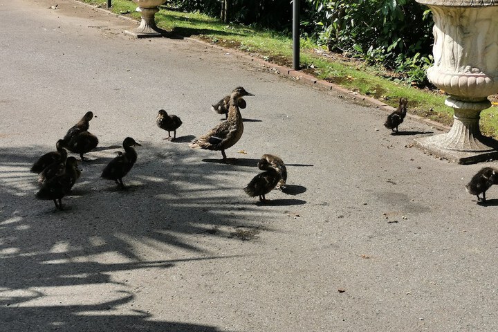 Hotel Exterior 122 of 141