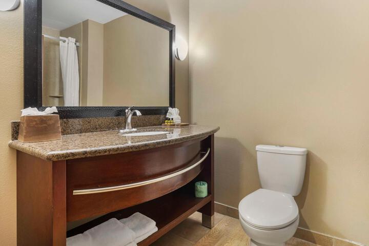 Accessible Suite 1 King Bed Accessible Communicatassist Roll in Shower Sofa Bed Breakfast (28 of 32)