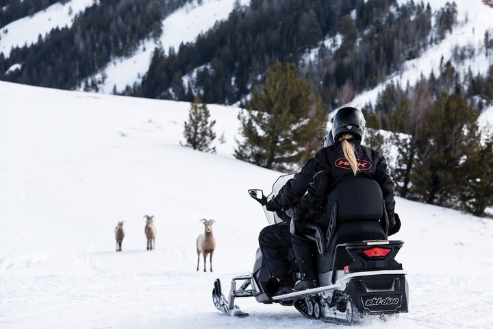 Snowmobiling