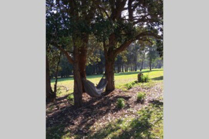 Property Grounds 11 of 13