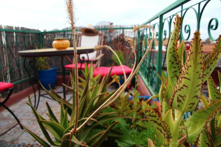 Photo 20
