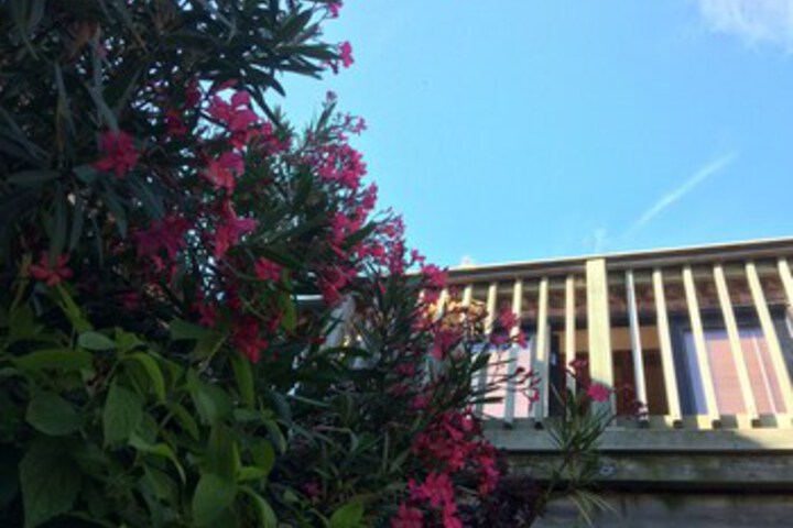 Hotel Exterior 8 of 15