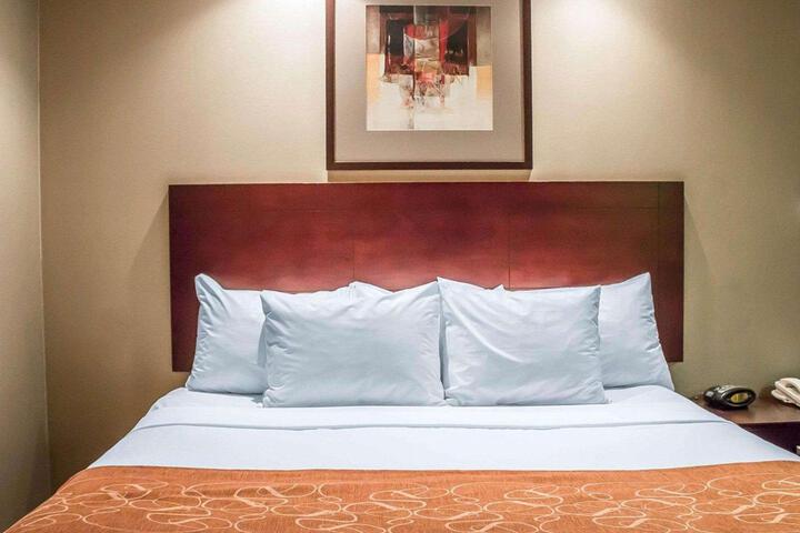 Standard | King Bed (3 of 15)