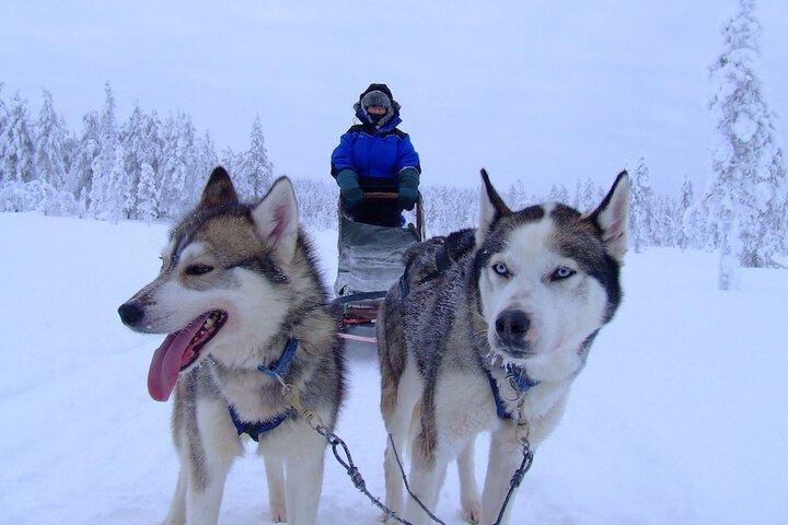 Snowshoeing