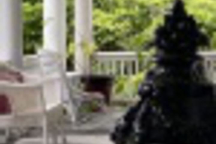 Terrace/Patio 16 of 384