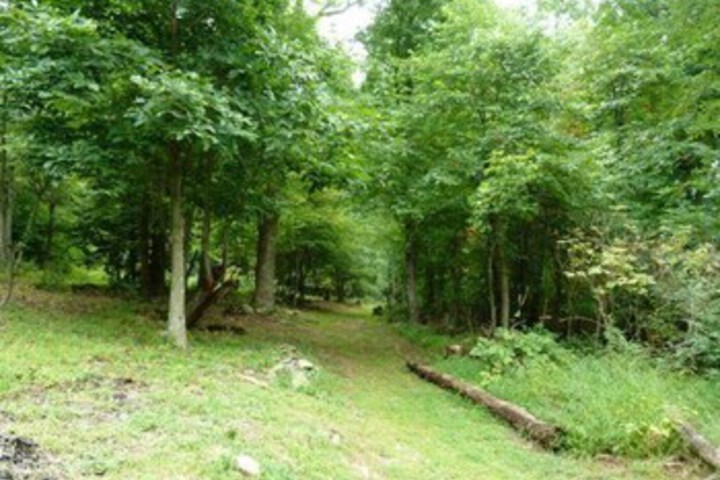 Property Grounds 50 of 65