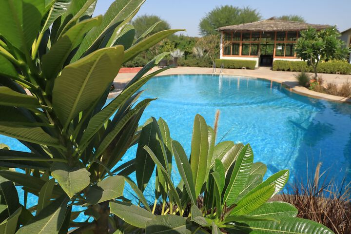 Pool 63 of 103