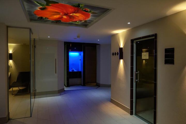 Spa and Wellness