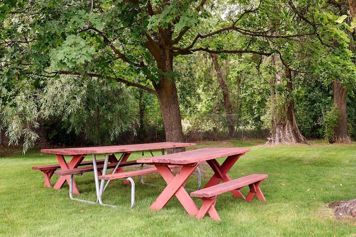 BBQ/picnic area