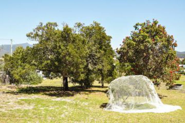 Property Grounds 10 of 10